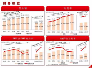 高鑫零售2024上半年業(yè)績(jī)解讀 營(yíng)收穩(wěn)健增長(zhǎng)，日用百貨銷售成亮點(diǎn)
